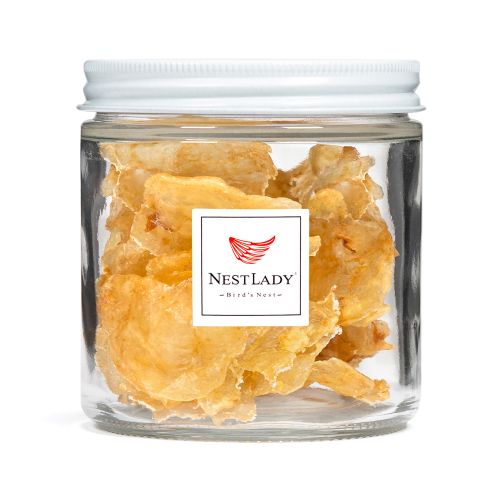 NESTLADY South American Butterfly Fish Gum 30g
