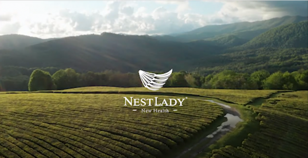Nestlady - 我们对实现人生的温柔反抗！